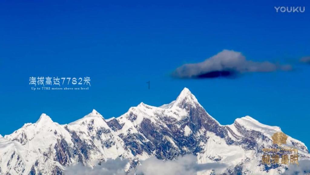 60吨玉露香梨滞销,金昌戈壁播绿兵哥需要您的一份助力!