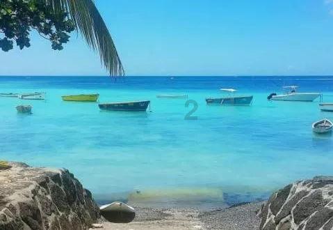 公主的夏季舞会